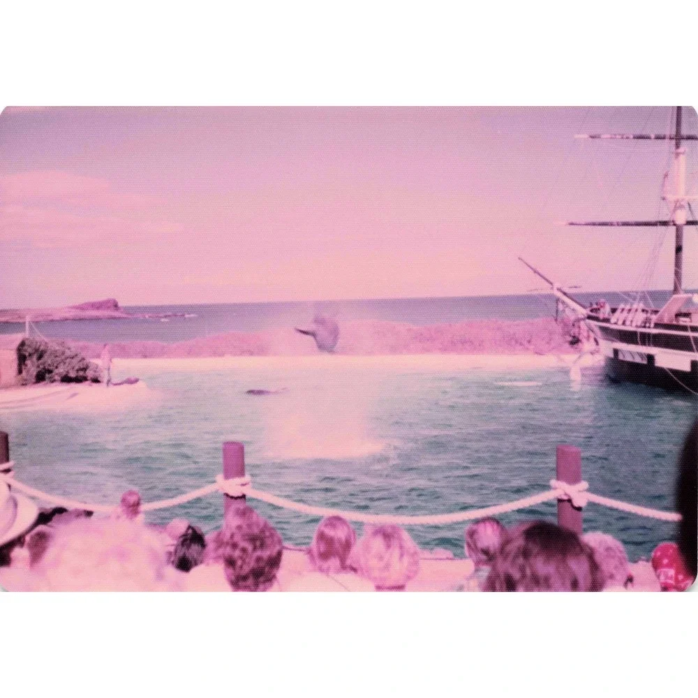 Vintage 1970s Sea Life Park Hawaii Dolphin Show Tall Ship Photo Lot of 17 - Picture 15 of 16
